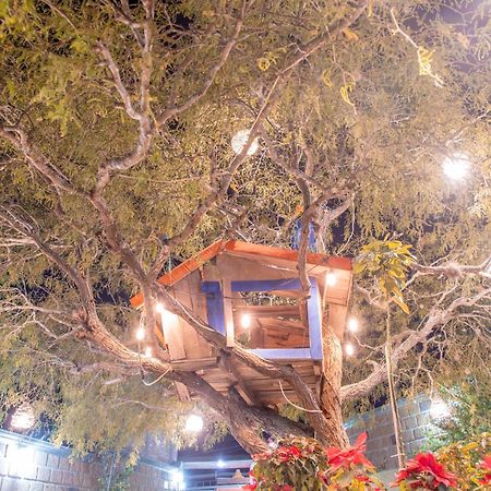 Hotel Casa Del Arbol Берналь Екстер'єр фото